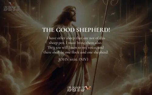 John 10:16  -  The Good shepherd